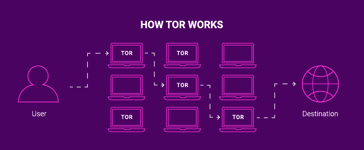 does tor browser hide ip