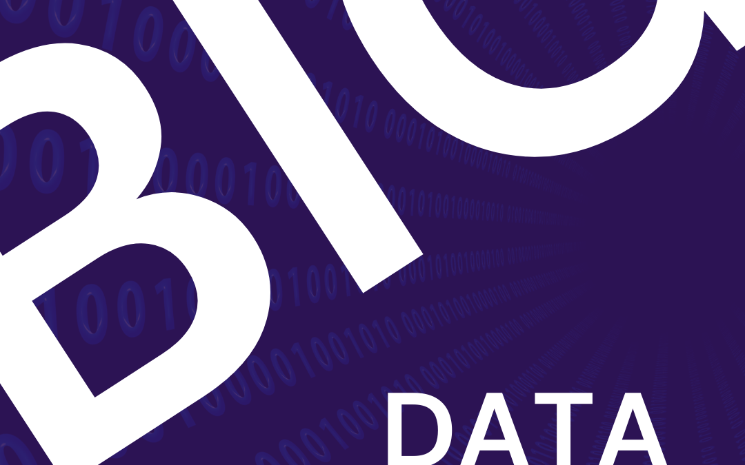 Data Driven Marketing: How Big Data Decides The Future