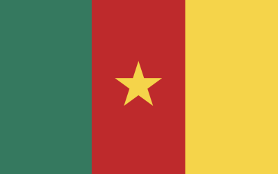 Top 11 Best Cameroon Proxies in 2025