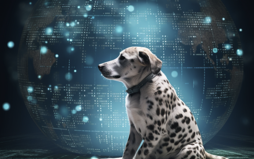 Scraping API for PetPlanet