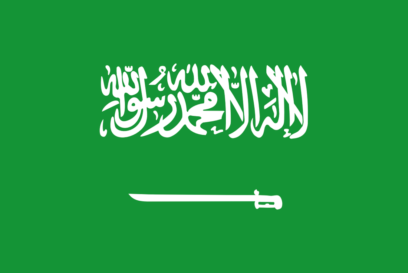 Top 10 Best Saudi Arabia Proxies in 2025 - ProxyEmpire