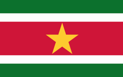 Top 10 Best Suriname Proxies in 2025