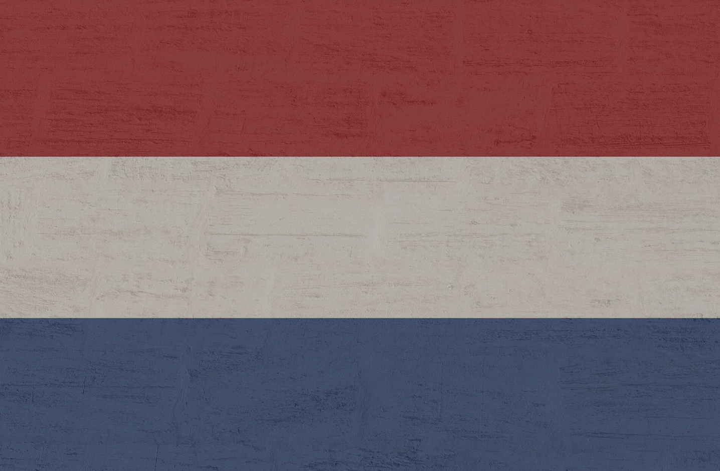 Top 11 Best Netherlands Proxies in 2025 - ProxyEmpire