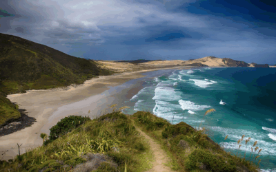 Top 30 Best New Zealand Proxies in 2025