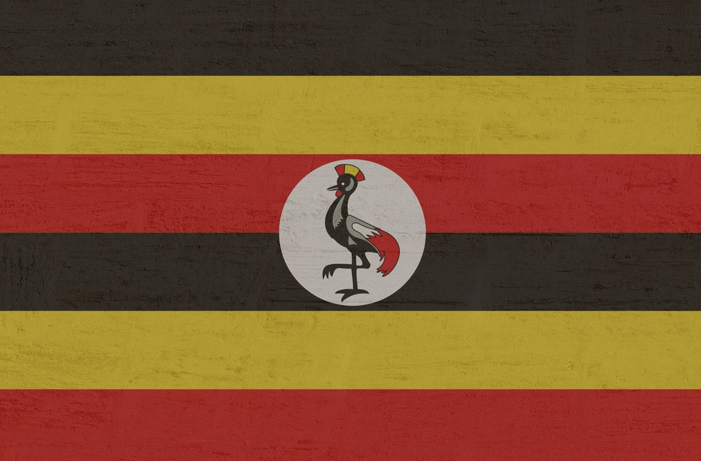 Top 10 Best Uganda Proxies in 2025 - ProxyEmpire