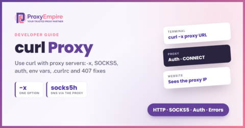 A curl command sending a request through an HTTP or SOCKS5 proxy, with the proxy's exit IP returned