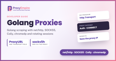 A Go program sending requests through an HTTP or SOCKS5 proxy gateway, with the website seeing the proxy's exit IP