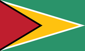 Flag of Guyana