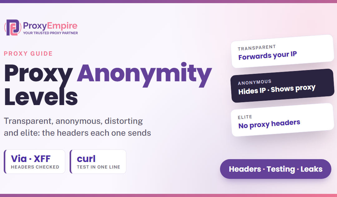 Proxy Anonymity Levels: Transparent, Anonymous, Distorting and Elite Proxies Explained