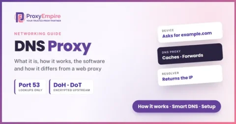 What is a DNS proxy - how DNS proxy servers work and how they differ from web proxies, a networking guide by ProxyEmpire