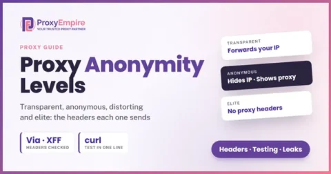 Proxy anonymity levels: which headers transparent, anonymous, distorting and elite proxies send to a website